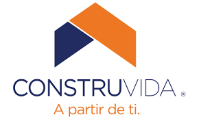 developer